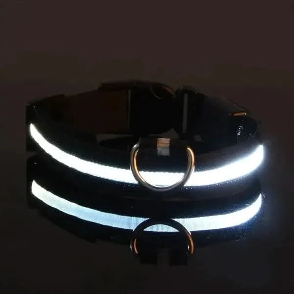 LED Nylon Dog Leash & Collar Set – Glow-in-the-Dark Flashing Pet Gear for Night Safety Stone's Store