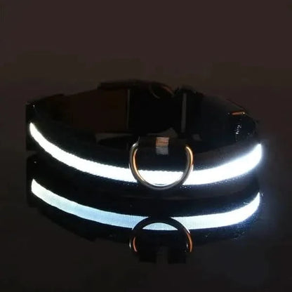 LED Nylon Dog Leash & Collar Set – Glow-in-the-Dark Flashing Pet Gear for Night Safety Stone's Store