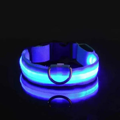 LED Nylon Dog Leash & Collar Set – Glow-in-the-Dark Flashing Pet Gear for Night Safety Stone's Store