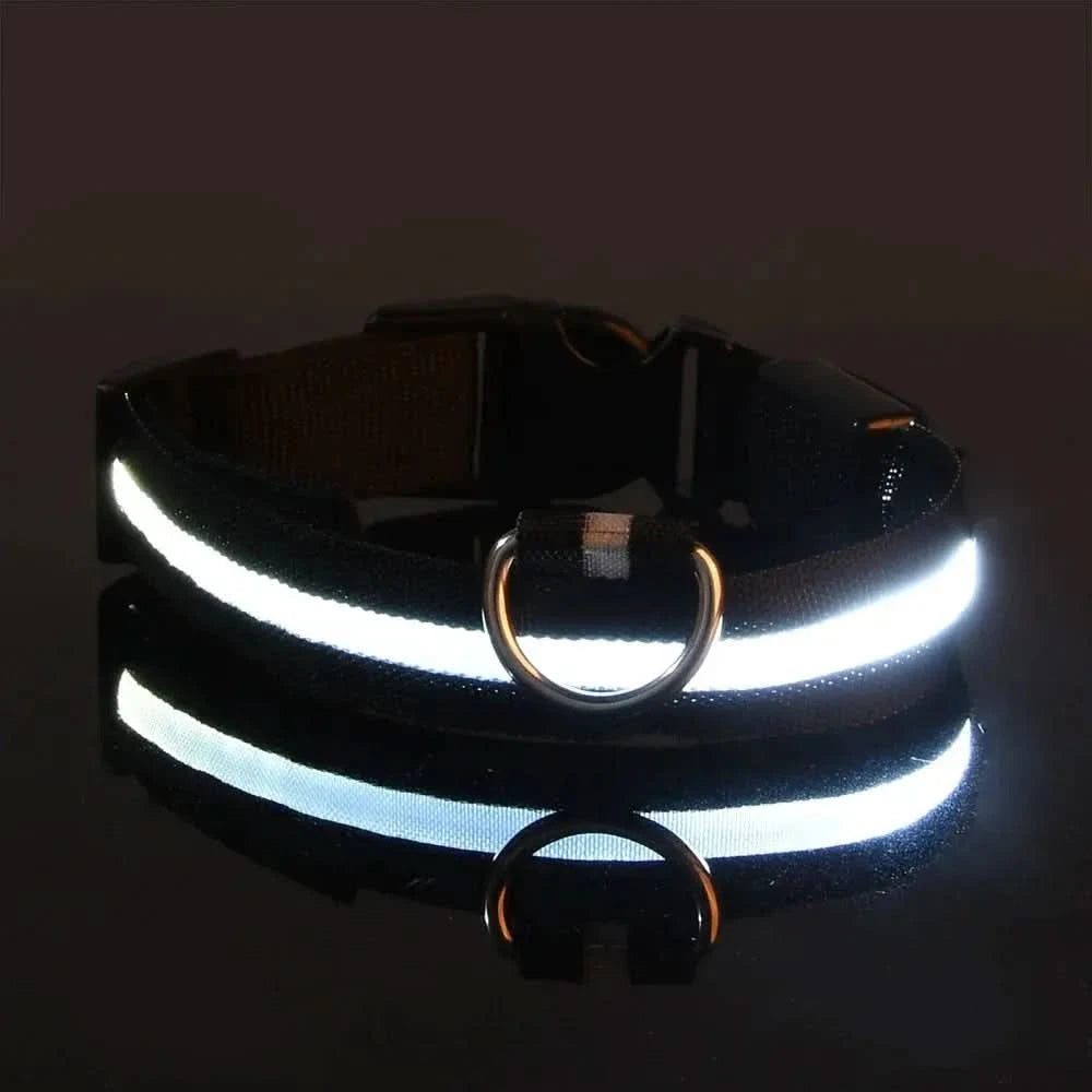 LED Nylon Dog Leash & Collar Set – Glow-in-the-Dark Flashing Pet Gear for Night Safety Stone's Store