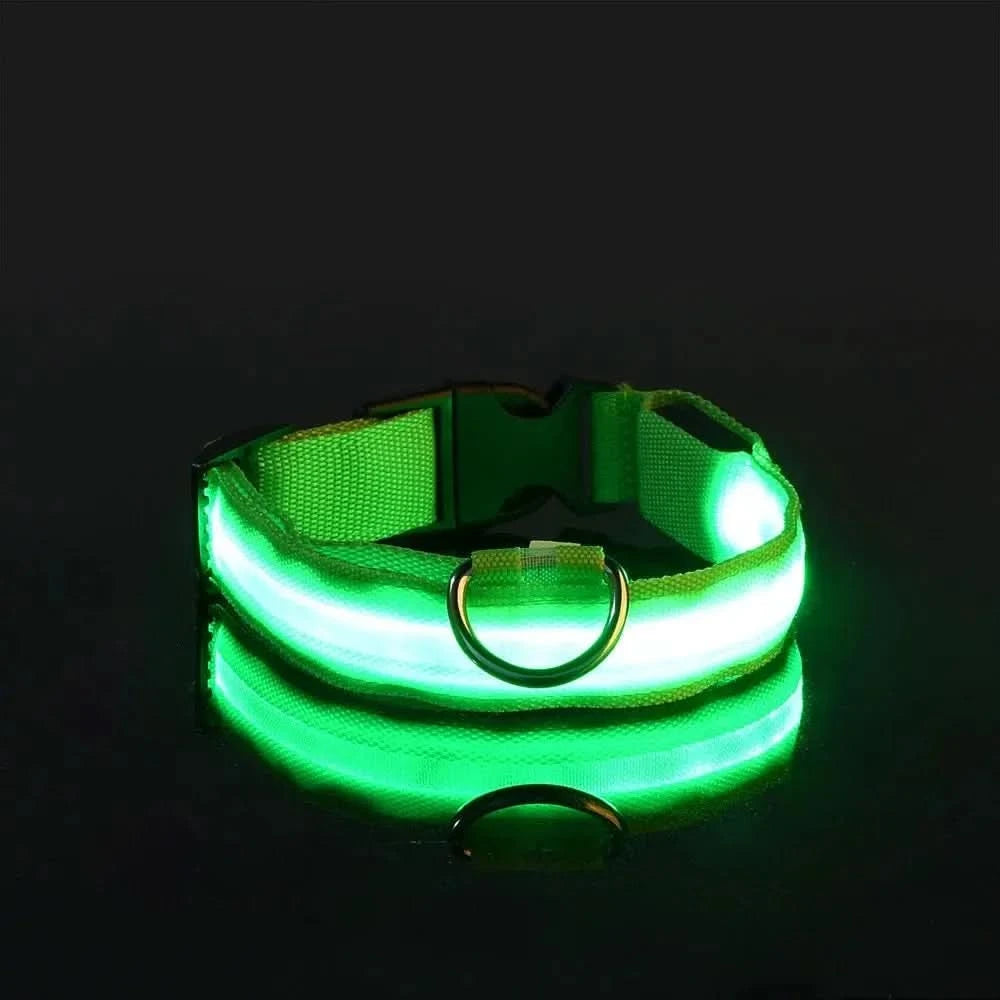 LED Nylon Dog Leash & Collar Set – Glow-in-the-Dark Flashing Pet Gear for Night Safety Stone's Store